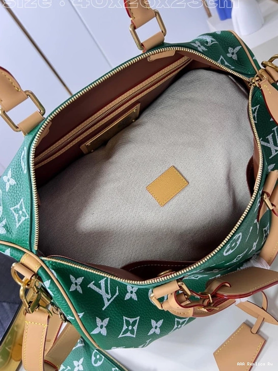 AAA Pruses Bags 40 Louis Vuitton SPEEDY 0810